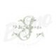 MP16-I-1 Alfabeto Broto de Rosa