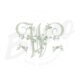 MP16-W-1 Alfabeto Broto de Rosa