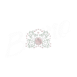 MP27M023 - Rosa MINI