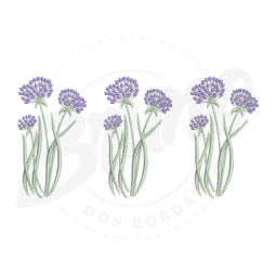 MP28M117 - Flores