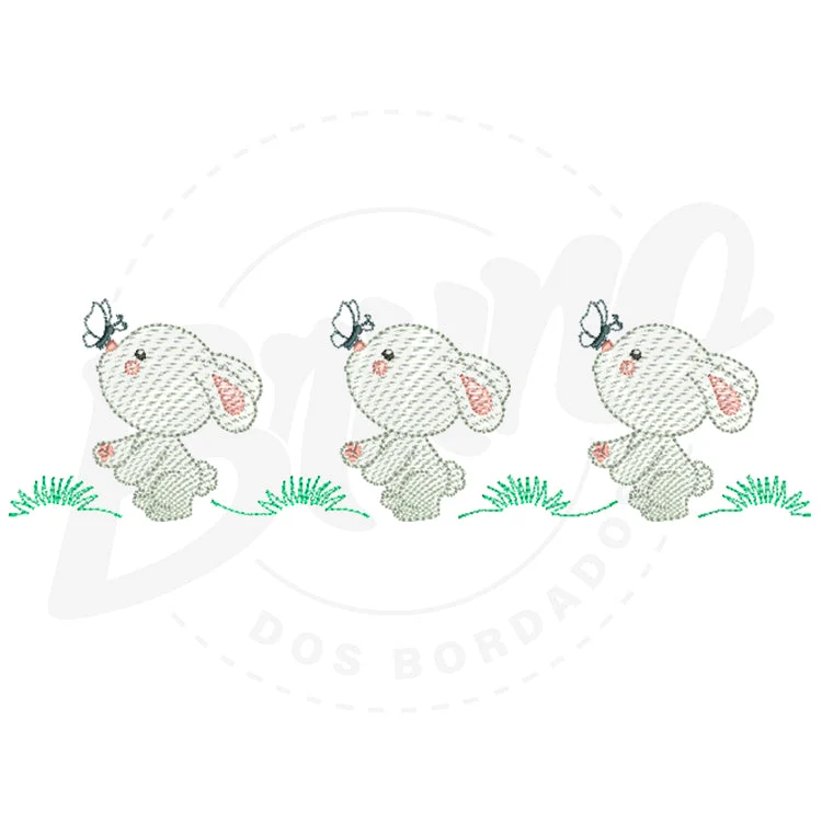 MP05M016 - Coelho