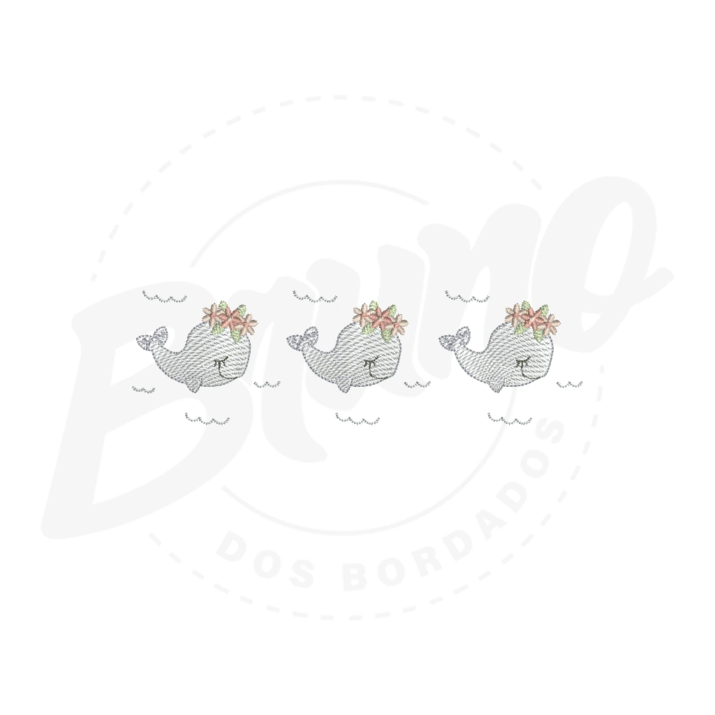 CINF02M006 - Baleia