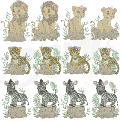 fotosite2_a7a6cd5c-a7b3-4e4d-949d-c0237cfce055-2